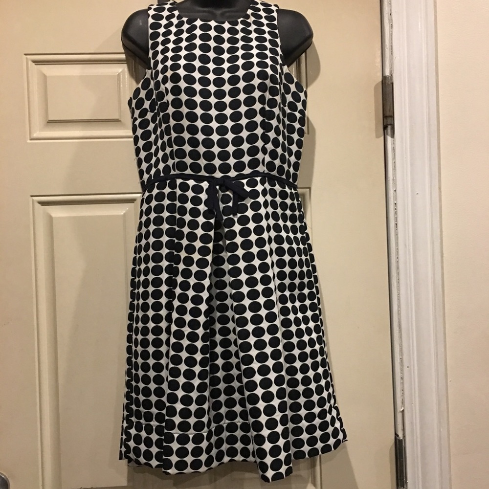 Taylor Navy polka dot dress.